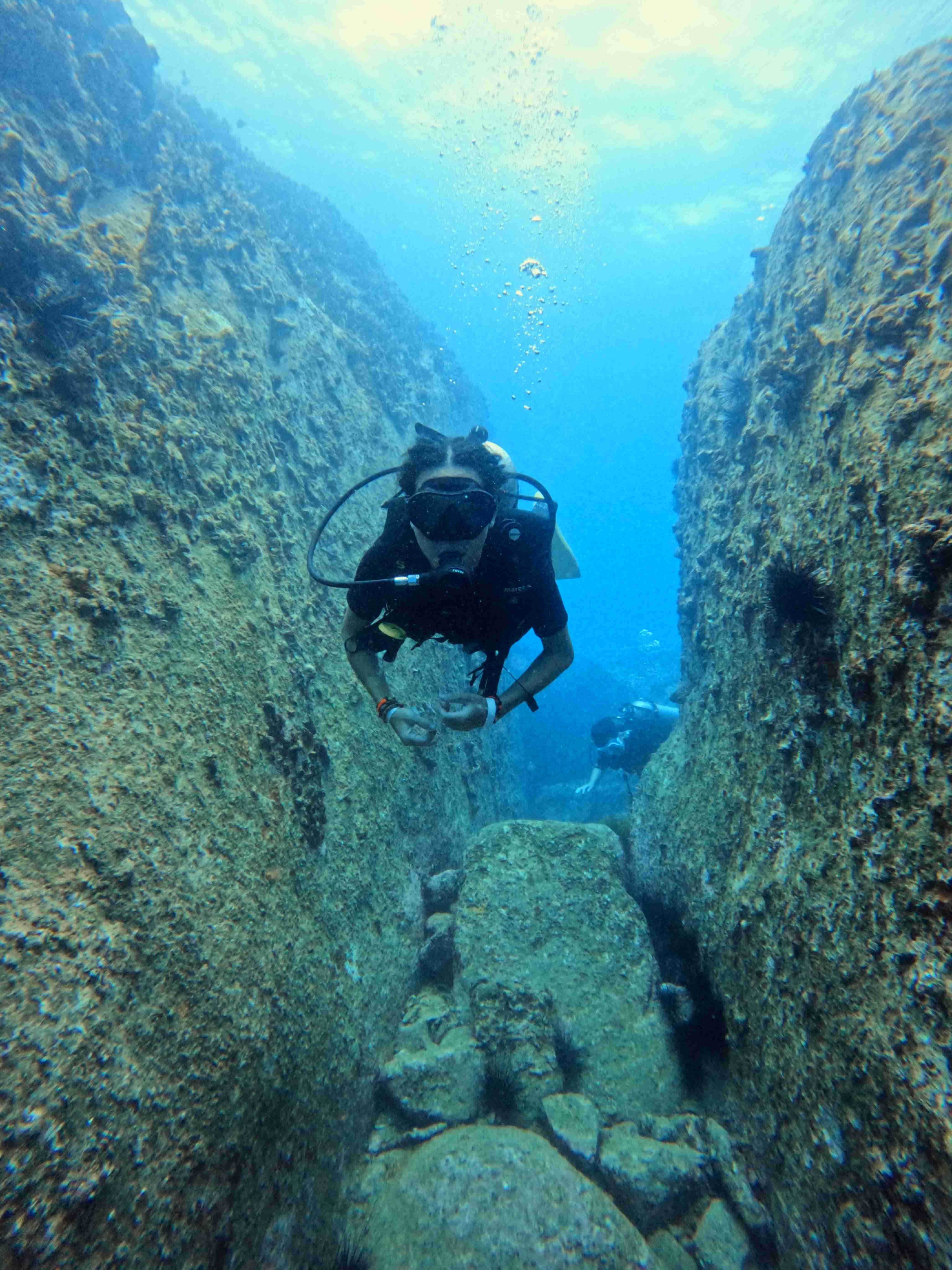 PADI Dive Master Course