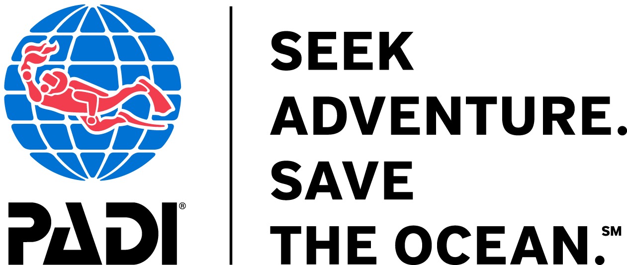 Diver Logo