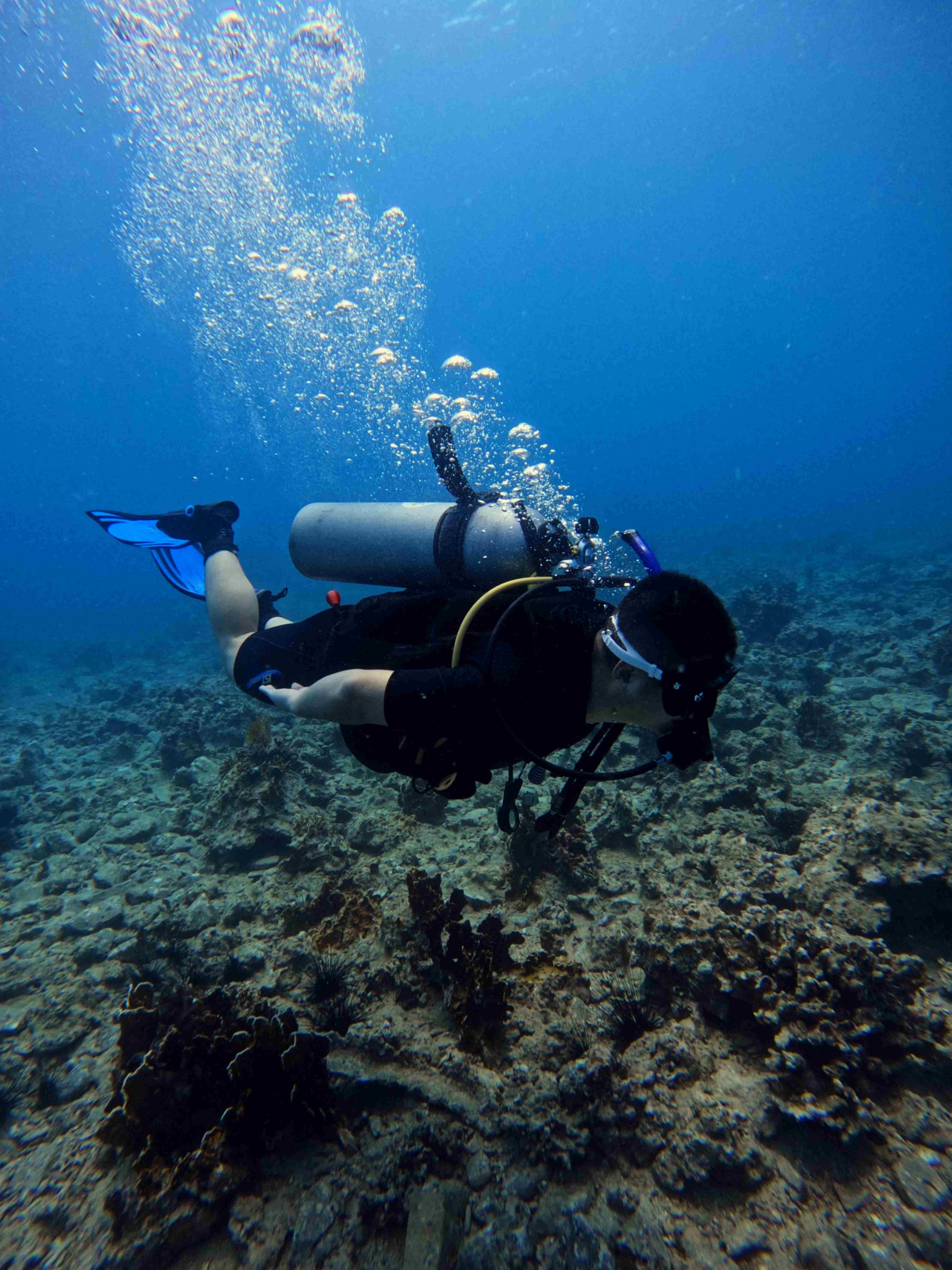 padi-nitrox-in-phu-quoc
