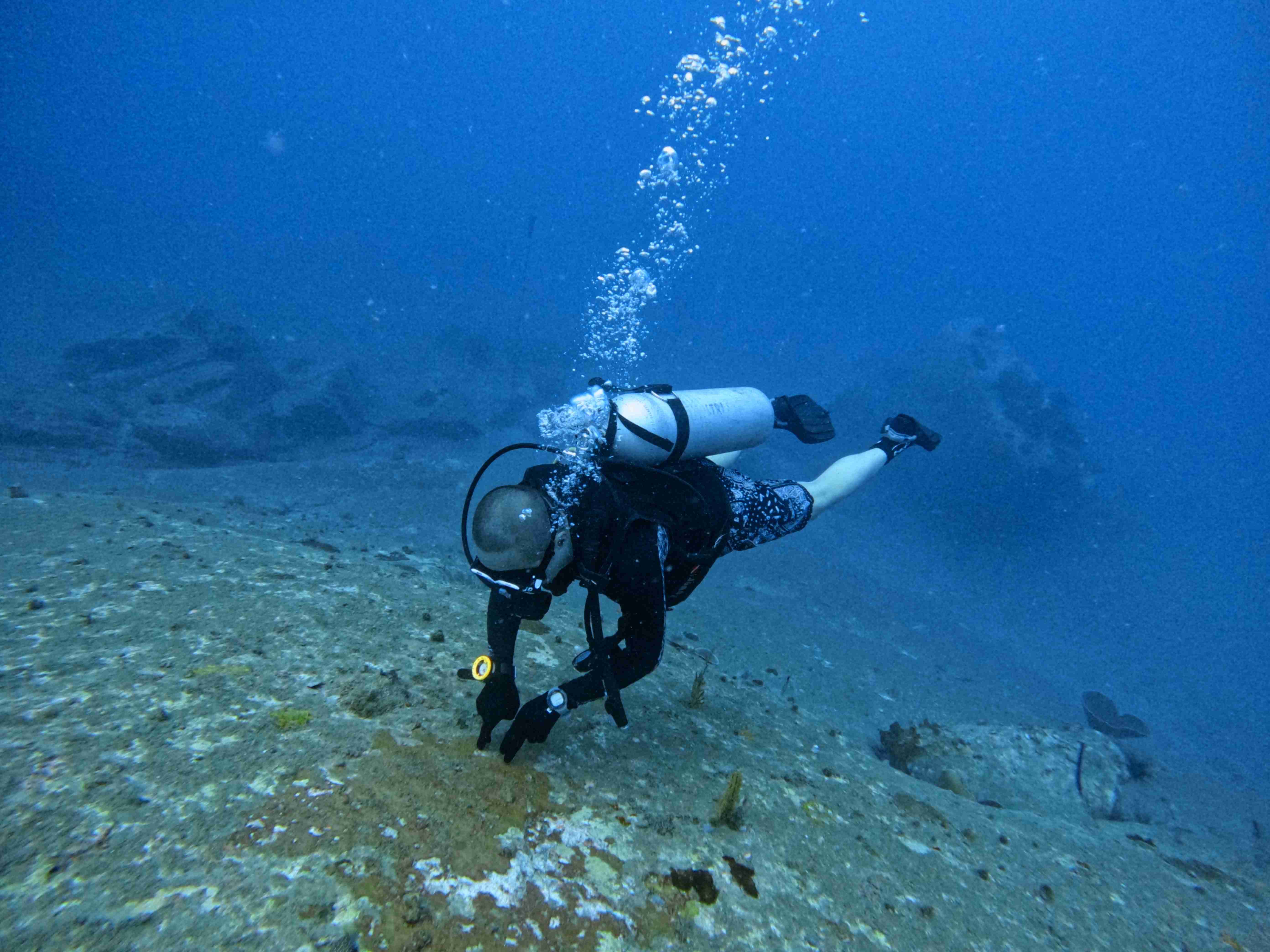 Padi-dive-master-chuyen-gia-lan