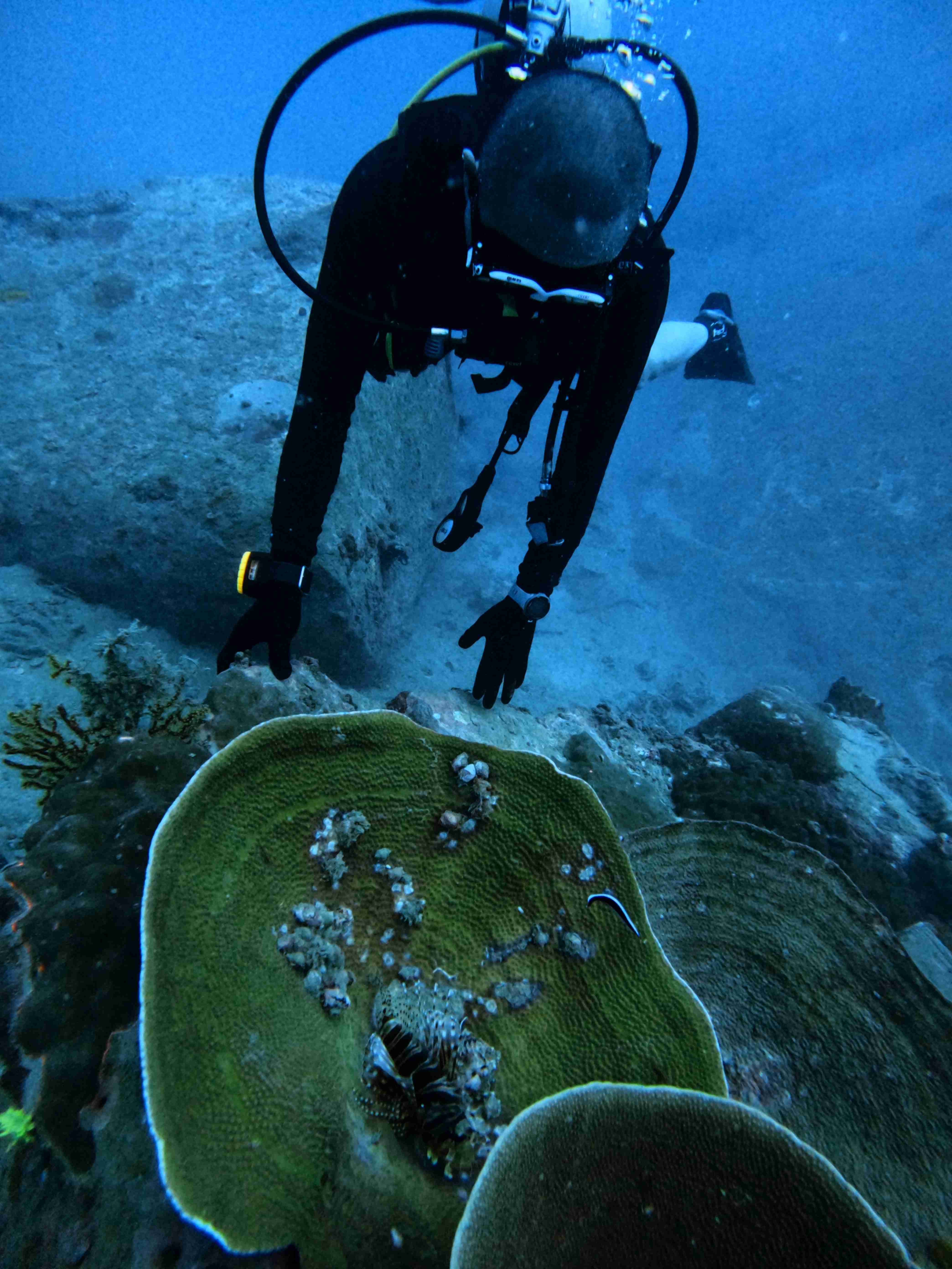 padi-night-diver