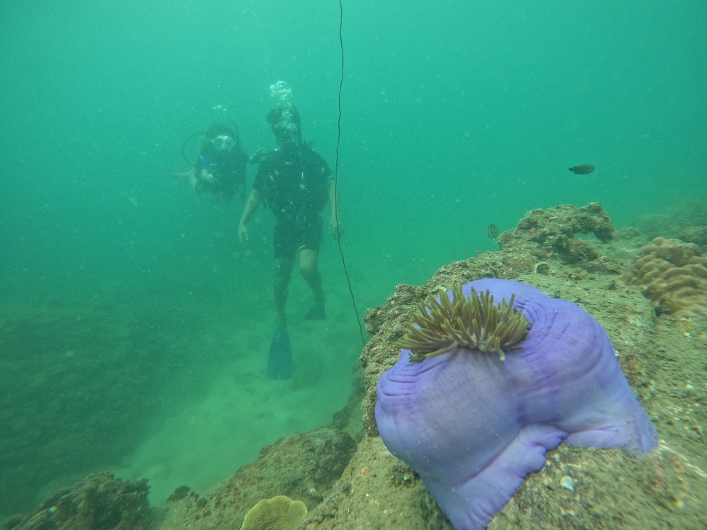 fun-diving-phu-quoc-01