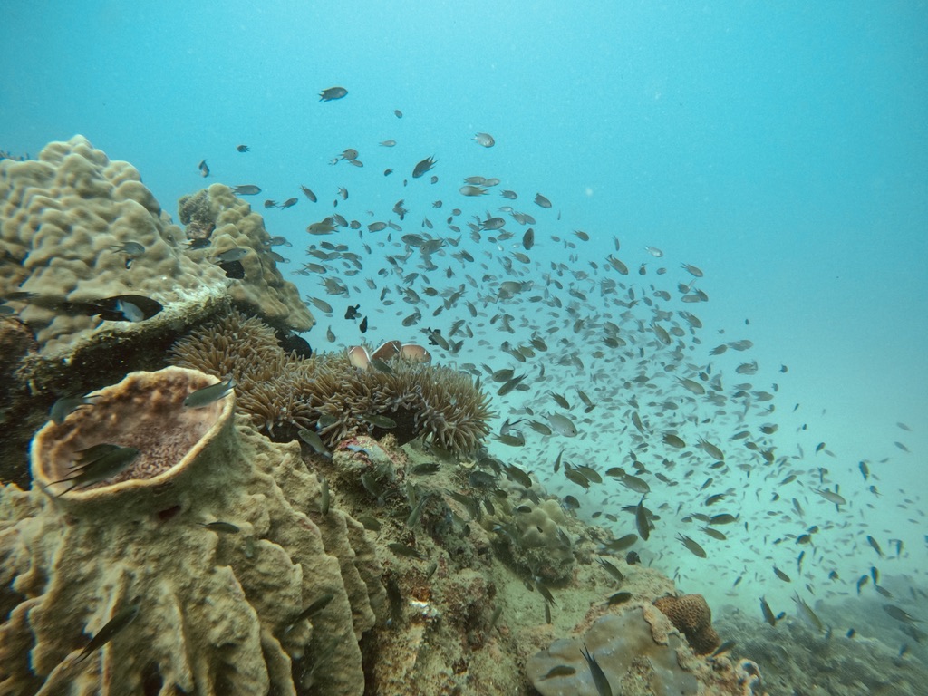 fun-diving-phu-quoc-01